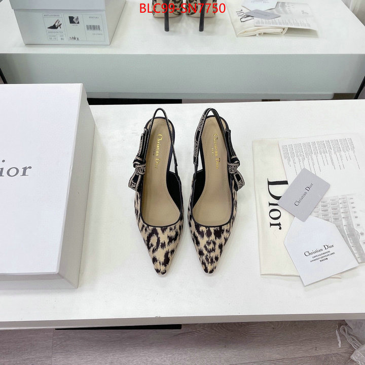 Women Shoes-Dior,high quality designer , ID: SN7750,$: 99USD