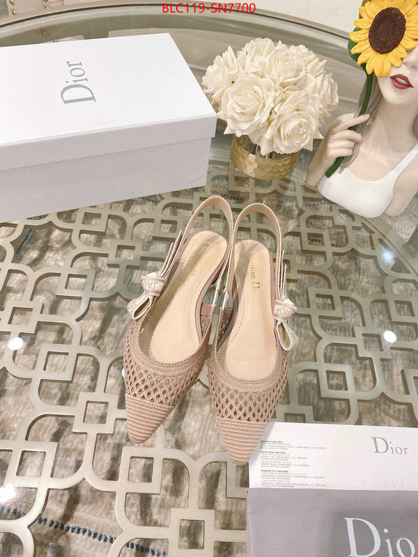 Women Shoes-Dior,sell online luxury designer , ID: SN7700,$: 119USD