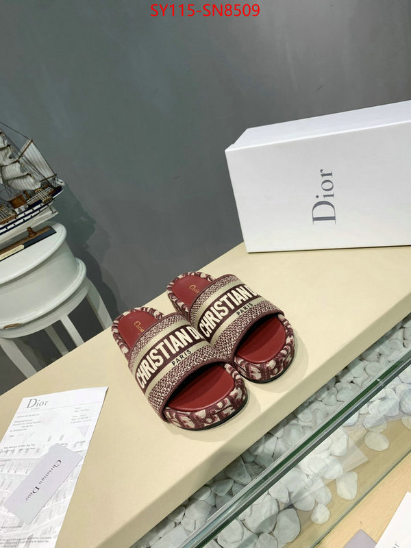 Women Shoes-Dior,sell online , ID: SN8509,$: 115USD