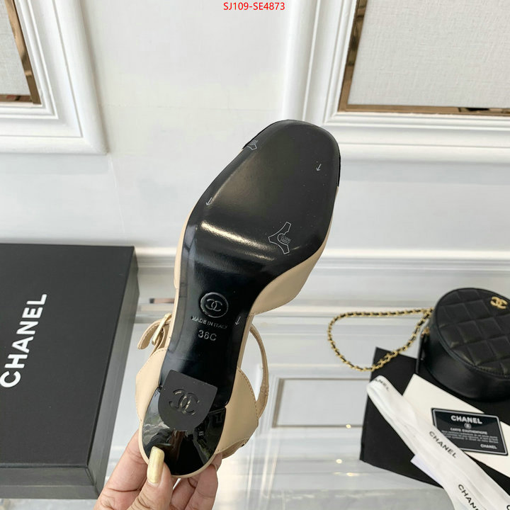 Women Shoes-Chanel,how to buy replica shop , ID: SE4873,$: 109USD