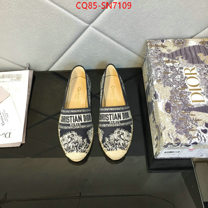 Women Shoes-Dior,online from china , ID: SN7109,$: 85USD