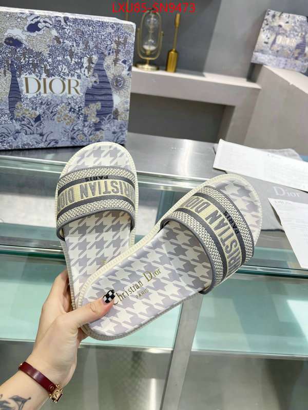 Women Shoes-Dior,sellers online , ID: SN9473,$: 85USD