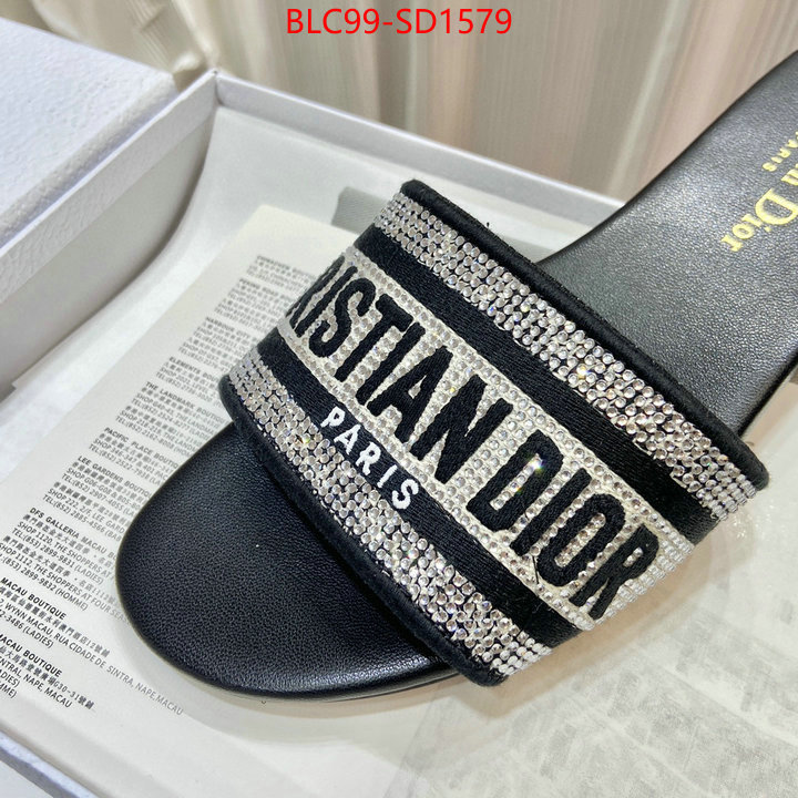 Women Shoes-Dior,buy aaaaa cheap , ID: SD1579,$: 99USD