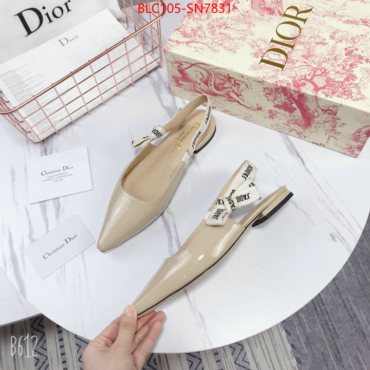 Women Shoes-Dior,aaaaa customize , ID: SN7831,$: 105USD