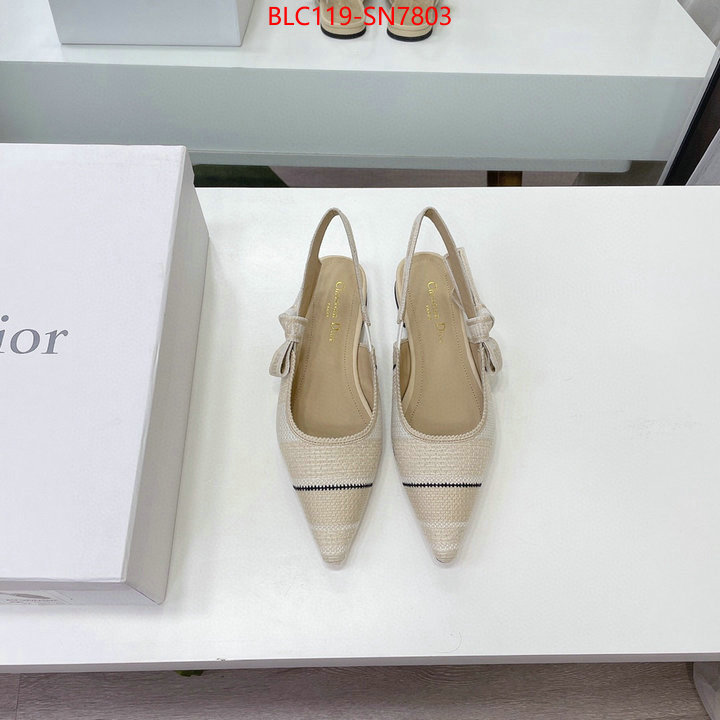 Women Shoes-Dior,replica designer , ID: SN7803,$: 119USD