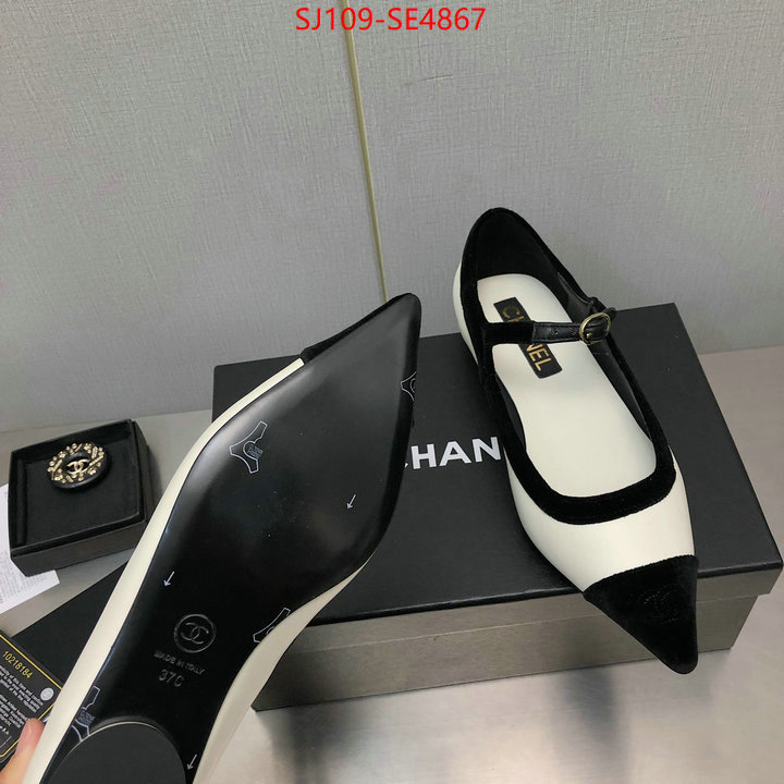 Women Shoes-Chanel,high-end designer , ID: SE4867,$: 109USD