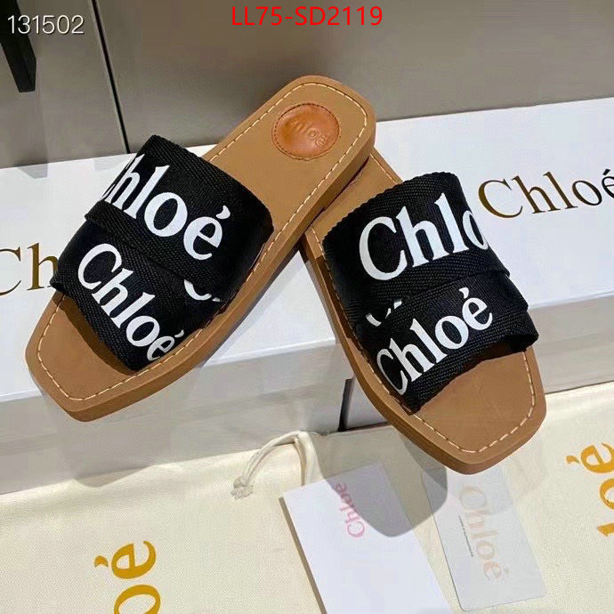 Women Shoes-Chloe,best designer replica , ID: SD2119,$: 75USD