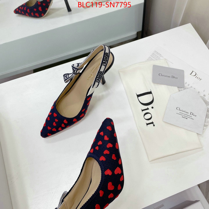 Women Shoes-Dior,what best replica sellers , ID: SN7795,$: 119USD