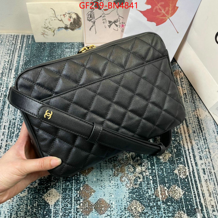 Chanel Bags(TOP)-Diagonal-,ID: BN4841,$: 239USD