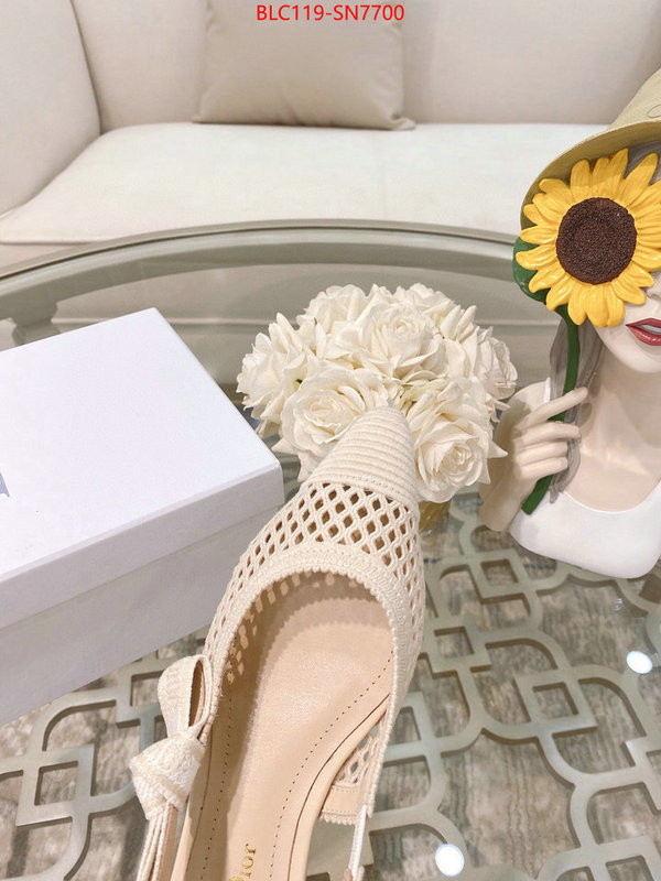 Women Shoes-Dior,sell online luxury designer , ID: SN7700,$: 119USD