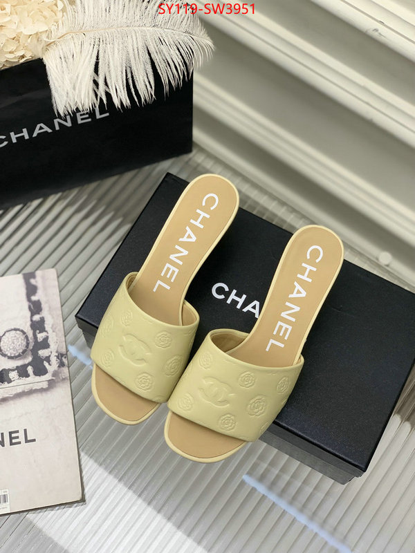 Women Shoes-Chanel,best site for replica , ID: SW3951,$: 119USD