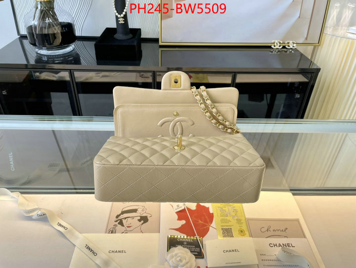 Chanel Bags(TOP)-Diagonal-,ID: BW5509,$: 245USD