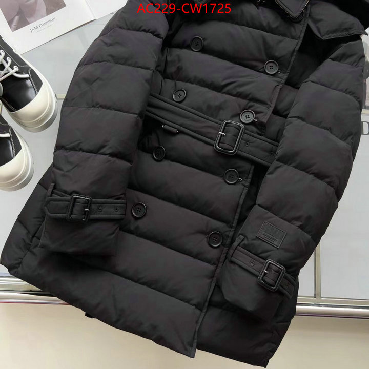 Down jacket Women-Burberry,how to start selling replica , ID: CW1725,$: 229USD