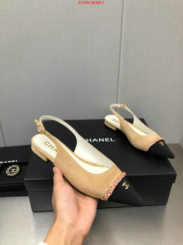 Women Shoes-Chanel,can you buy knockoff , ID: SE4851,$: 109USD