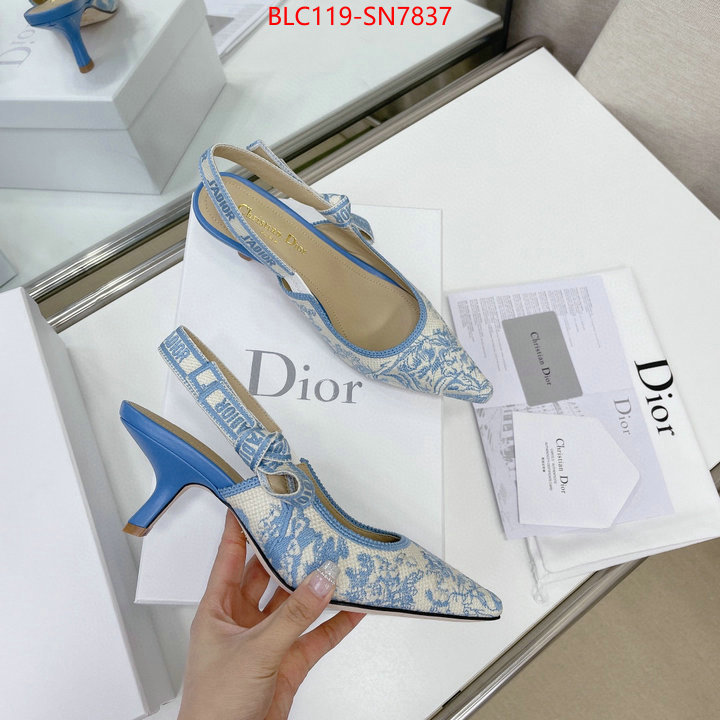 Women Shoes-Dior,replicas , ID: SN7837,$: 119USD