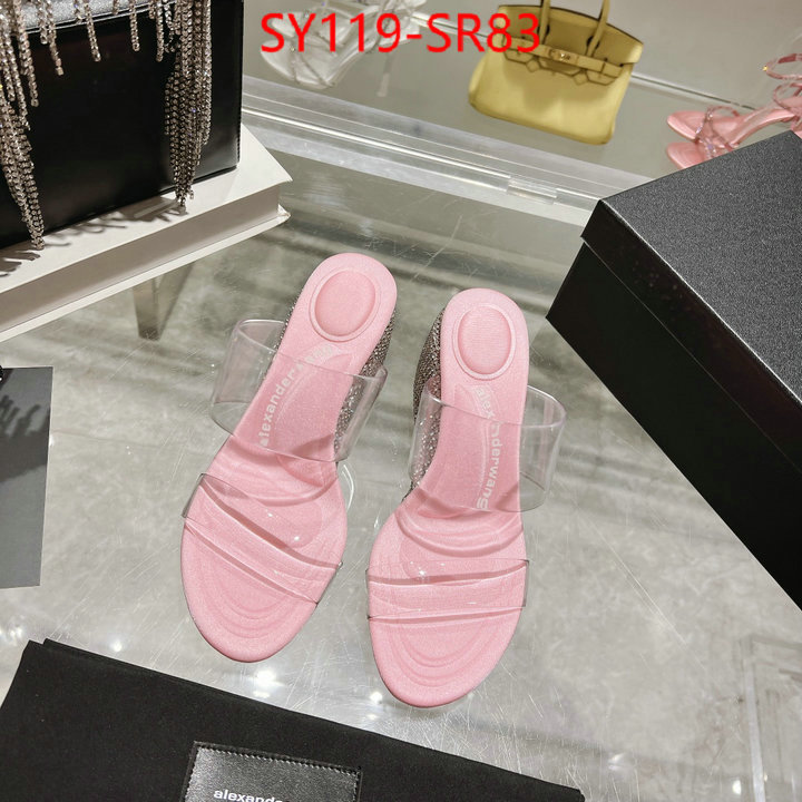 Women Shoes-Alexander Wang,top 1:1 replica , ID: SR83,$: 119USD