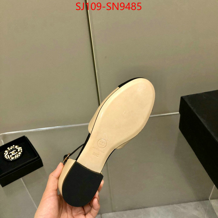 Women Shoes-Chanel,perfect replica , ID: SN9485,$: 109USD