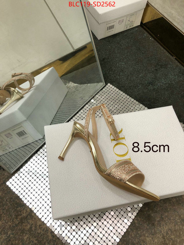 Women Shoes-Dior,first copy , ID: SD2562,$: 119USD