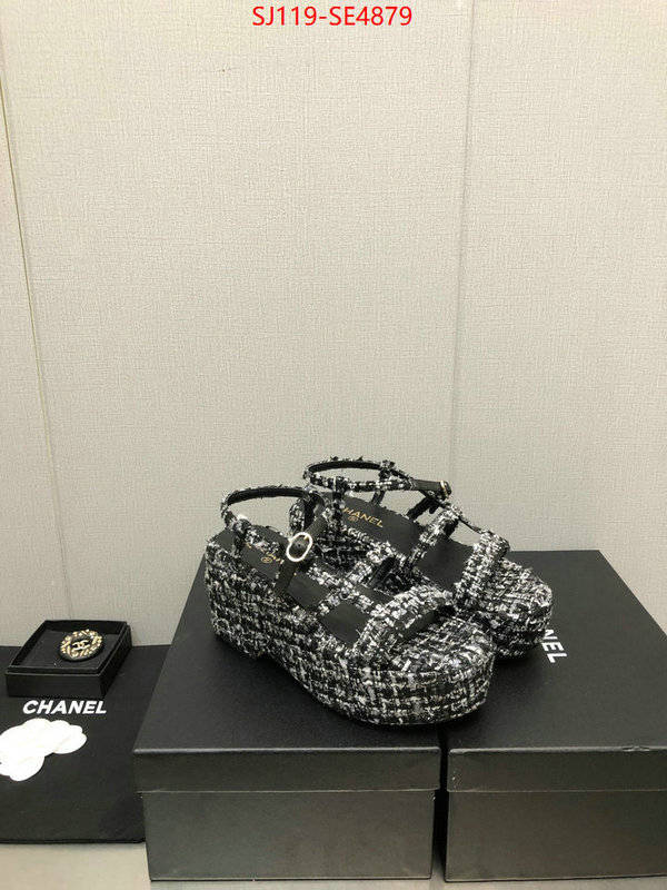 Women Shoes-Chanel,cheap replica designer , ID: SE4879,$: 119USD