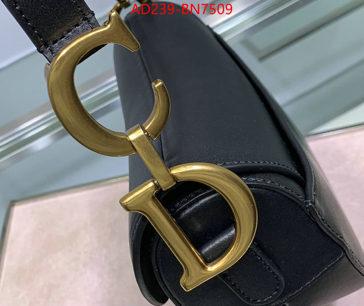 Dior Bags(TOP)-Saddle-,ID: BN7509,$: 239USD