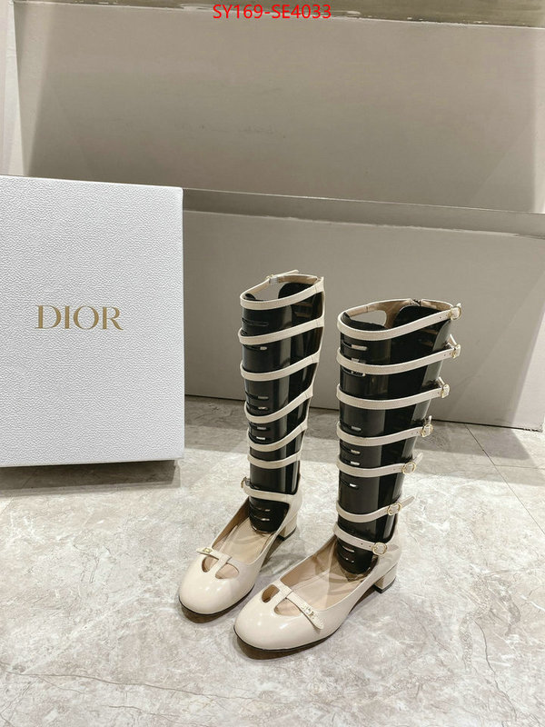 Women Shoes-Dior,top quality replica , ID: SE4033,$: 169USD