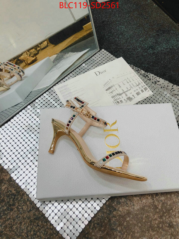 Women Shoes-Dior,sell online luxury designer , ID: SD2561,$: 119USD