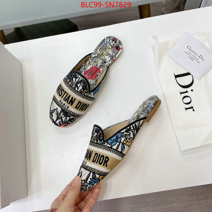 Women Shoes-Dior,website to buy replica , ID: SN7829,$: 99USD