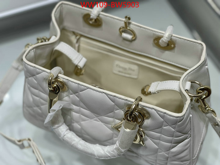 Dior Bags(4A)-Other Style-,ID: BW5903,$: 109USD