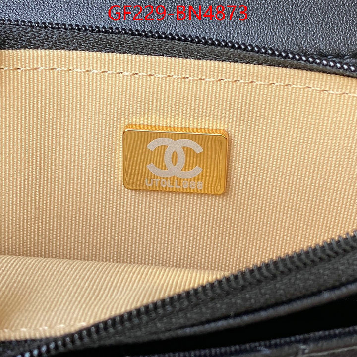 Chanel Bags(TOP)-Diagonal-,ID: BN4873,$: 229USD