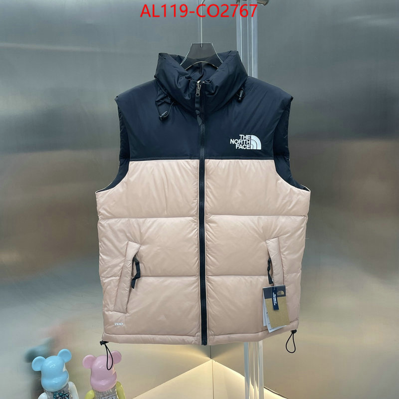 Down jacket Men-The North Face,designer 1:1 replica , ID: CO2767,$: 119USD