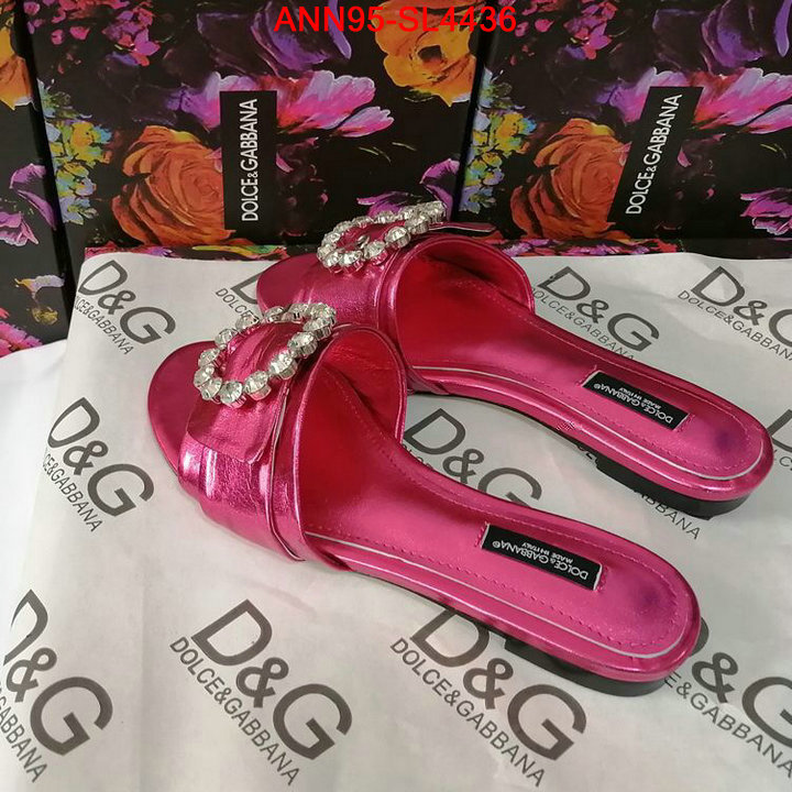Women Shoes-DG,best replica 1:1 , ID: SL4436,$: 95USD