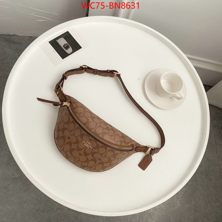 Coach Bags(4A)-Belt Bag-Chest Bag--,can i buy replica ,ID: BN8631,$: 75USD