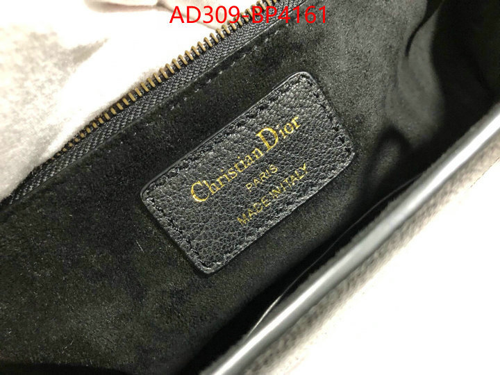 Dior Bags(TOP)-Other Style-,ID: BP4161,$: 309USD