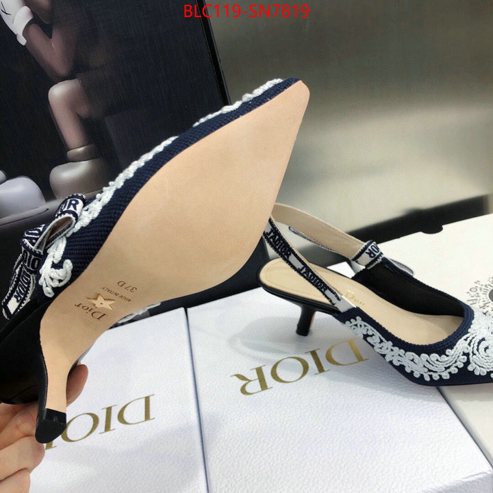 Women Shoes-Dior,replica aaaaa designer , ID: SN7819,$: 119USD