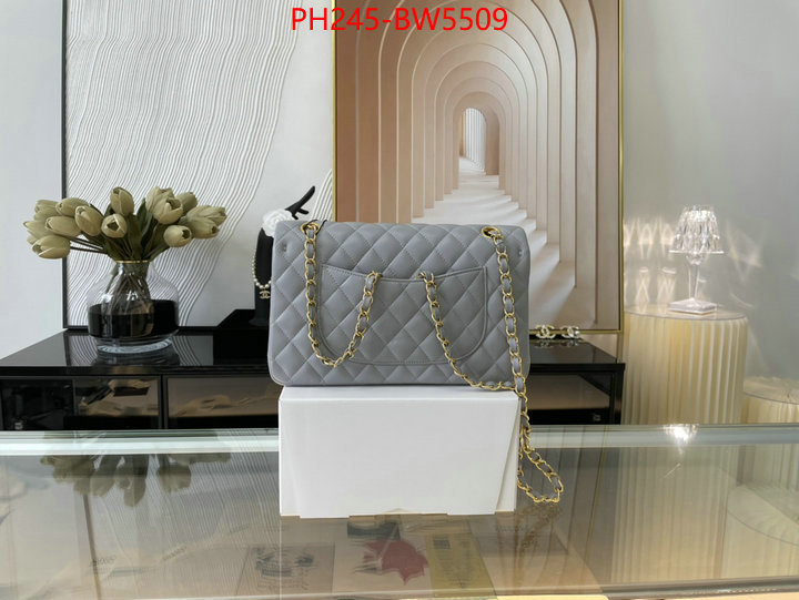 Chanel Bags(TOP)-Diagonal-,ID: BW5509,$: 245USD