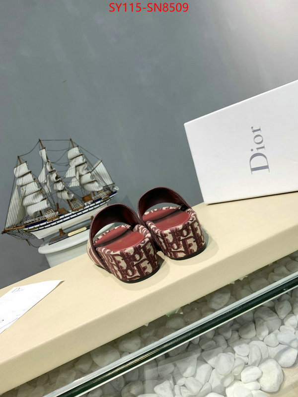 Women Shoes-Dior,sell online , ID: SN8509,$: 115USD