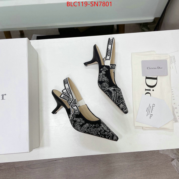 Women Shoes-Dior,what 1:1 replica , ID: SN7801,$: 119USD