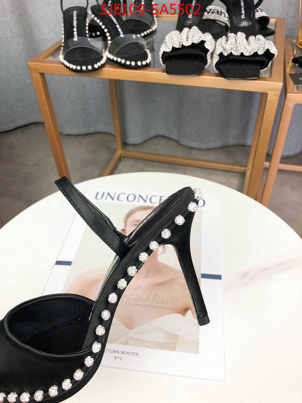 Women Shoes-Alexander Wang,wholesale china , ID: SA5502,$: 109USD