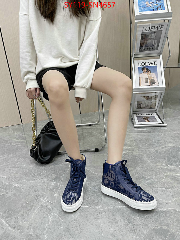 Women Shoes-Chloe,designer fake , ID: SN4657,$: 119USD