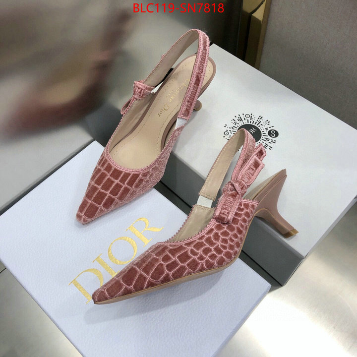 Women Shoes-Dior,aaaaa+ quality replica , ID: SN7818,$: 119USD