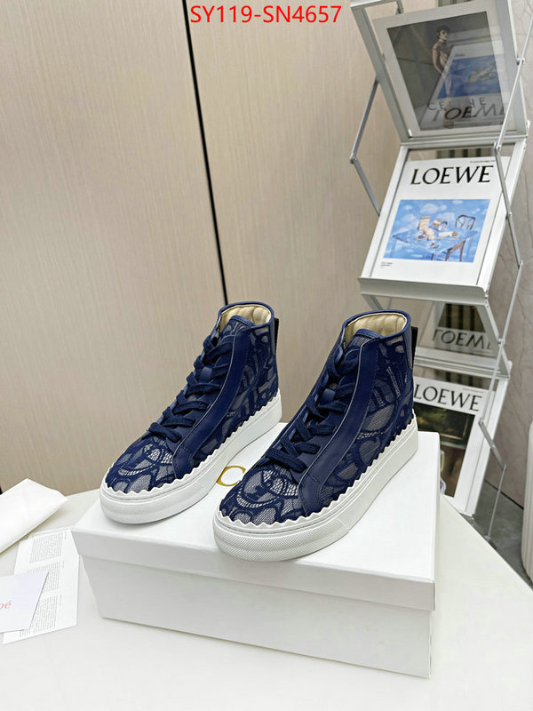 Women Shoes-Chloe,designer fake , ID: SN4657,$: 119USD