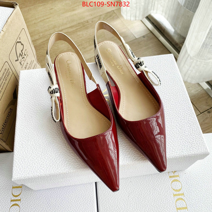 Women Shoes-Dior,2023 replica , ID: SN7832,$: 109USD