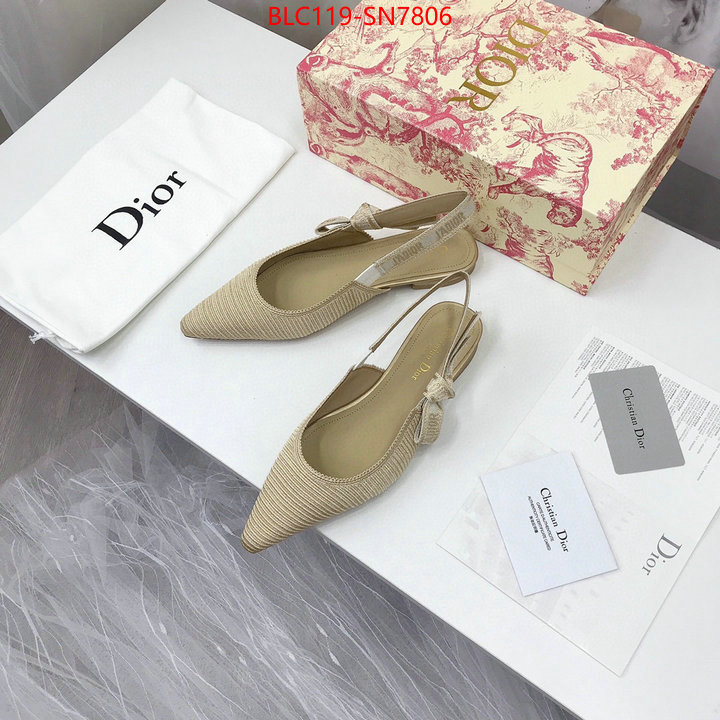 Women Shoes-Dior,how to find replica shop , ID: SN7806,$: 119USD