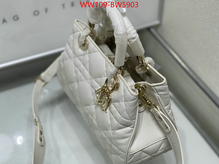 Dior Bags(4A)-Other Style-,ID: BW5903,$: 109USD