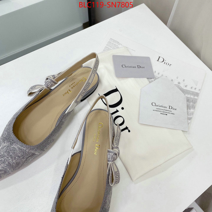 Women Shoes-Dior,the top ultimate knockoff , ID: SN7805,$: 119USD