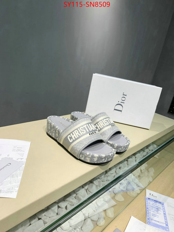 Women Shoes-Dior,sell online , ID: SN8509,$: 115USD