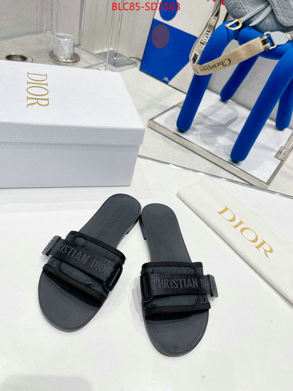 Women Shoes-Dior,high end designer , ID: SD2563,$: 85USD