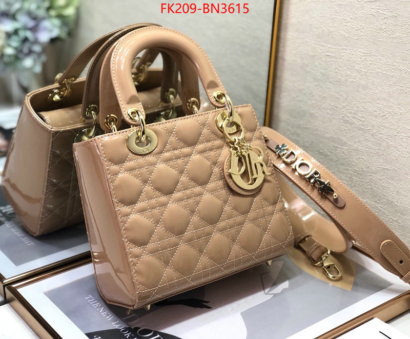 Dior Bags(TOP)-Lady-,ID: BN3615,$: 209USD