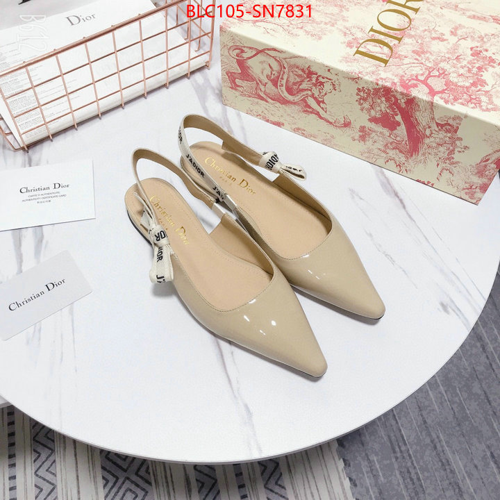 Women Shoes-Dior,aaaaa customize , ID: SN7831,$: 105USD