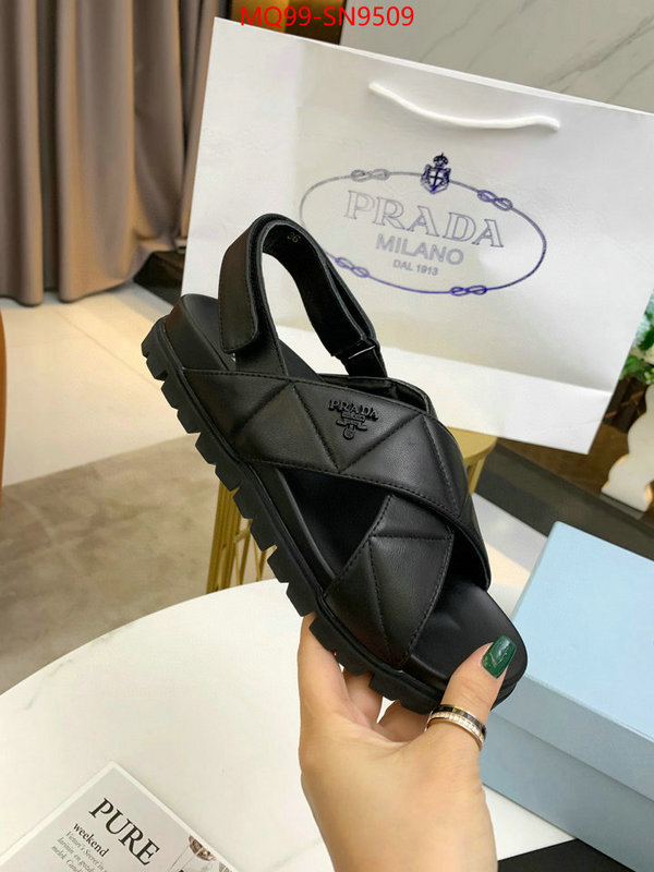 Women Shoes-Prada,top quality , ID: SN9509,$: 99USD